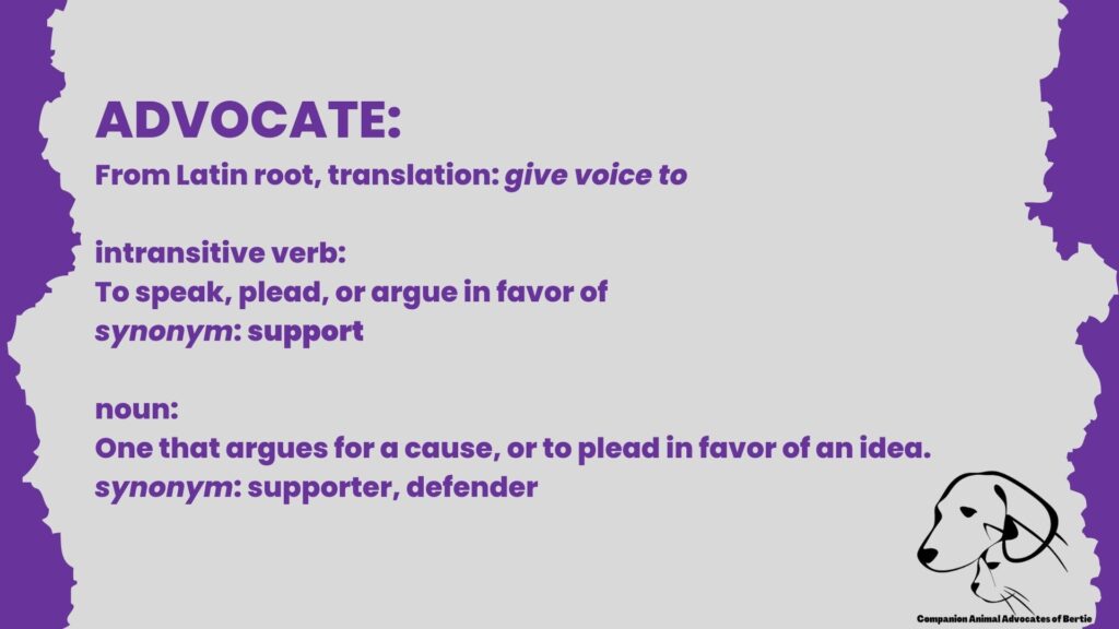 advocate definition